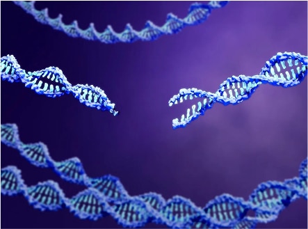 Tackling sickle cell disease with gene editing