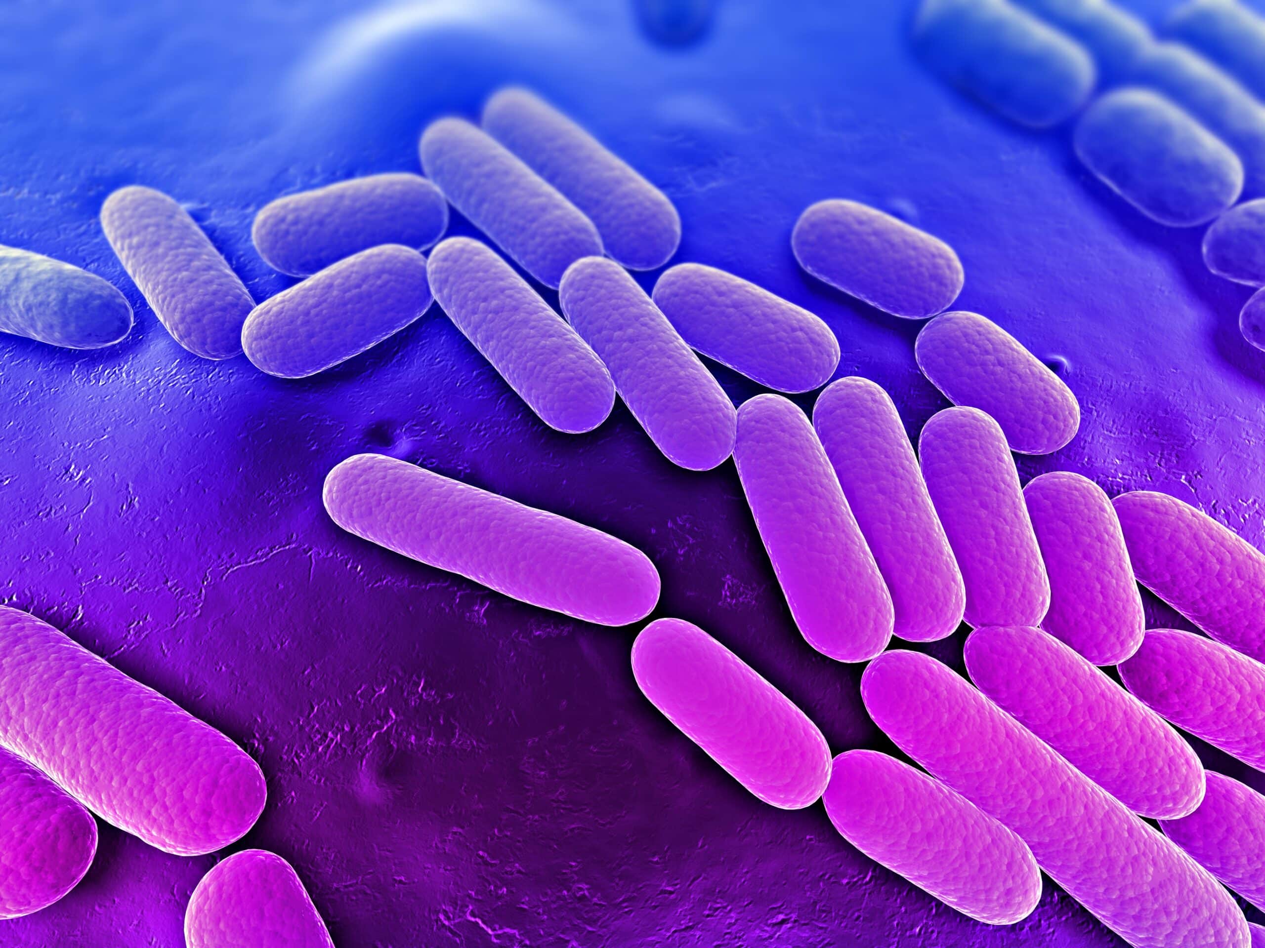 Infectious Disease Research